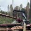 فیلم ۱۰۵ ماشین عظیم جنگلداری و برش چوب